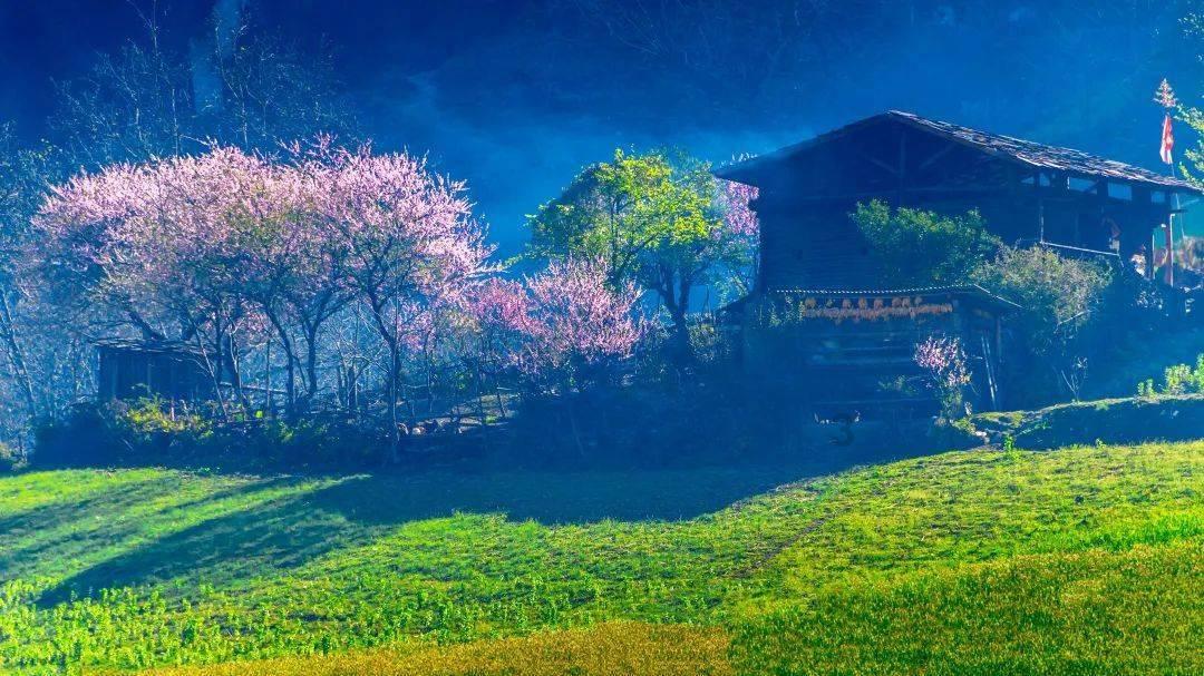 梦想之森