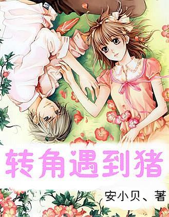 深度学习指导 | 二人转的二十四孝的词?知识星球,掌握最新AI技术