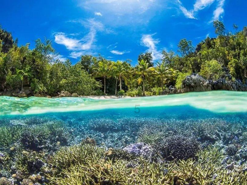 河南实现油气调查重大突破