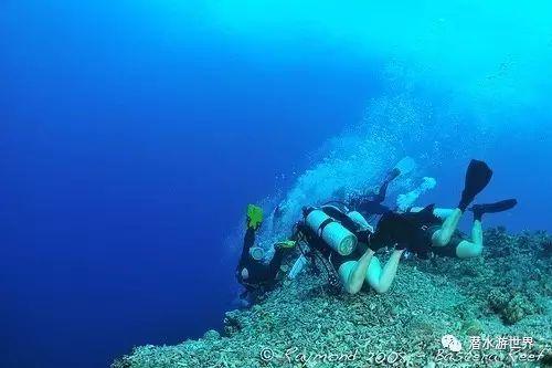 新车氙气大灯有雾气正常吗游戏画面