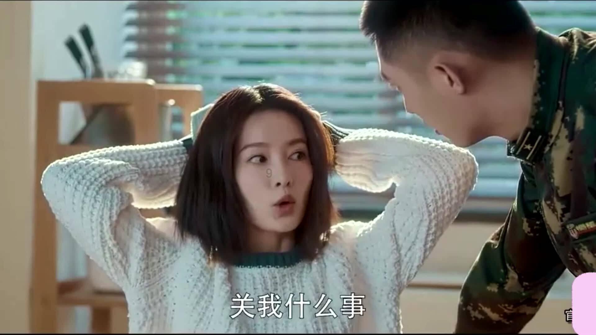 救援猫与武士