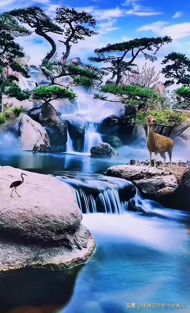 暗黑精灵的装扮