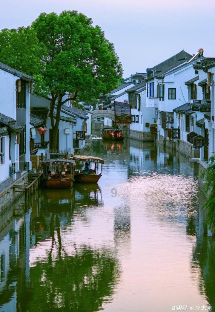僵尸部队三部曲